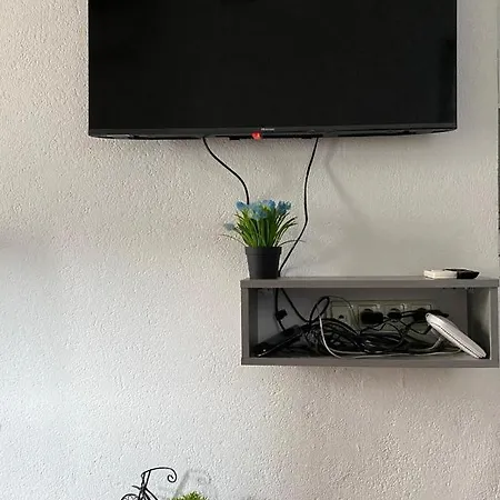Apartment Albatros *
